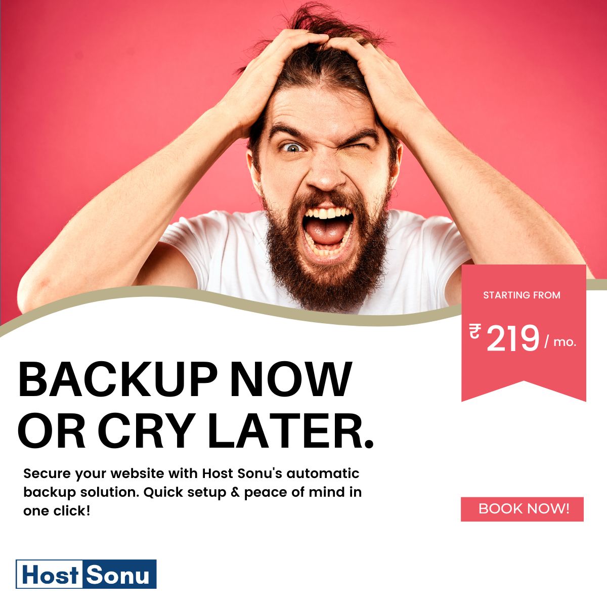 Host Sonu Website Backup