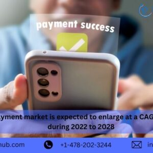 india-payment-market india-payment-market