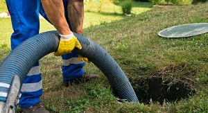 image_2024-05-16_194017233 image_2024-05-16_194017233