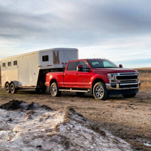 istockphoto-1491144549-612×612 istockphoto-1491144549-612x612