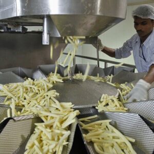 potato-processing-industry-in-in potato-processing-industry-in-in