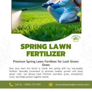 premium-spring-lawn-fertilizer-for-lush-green-grass-1